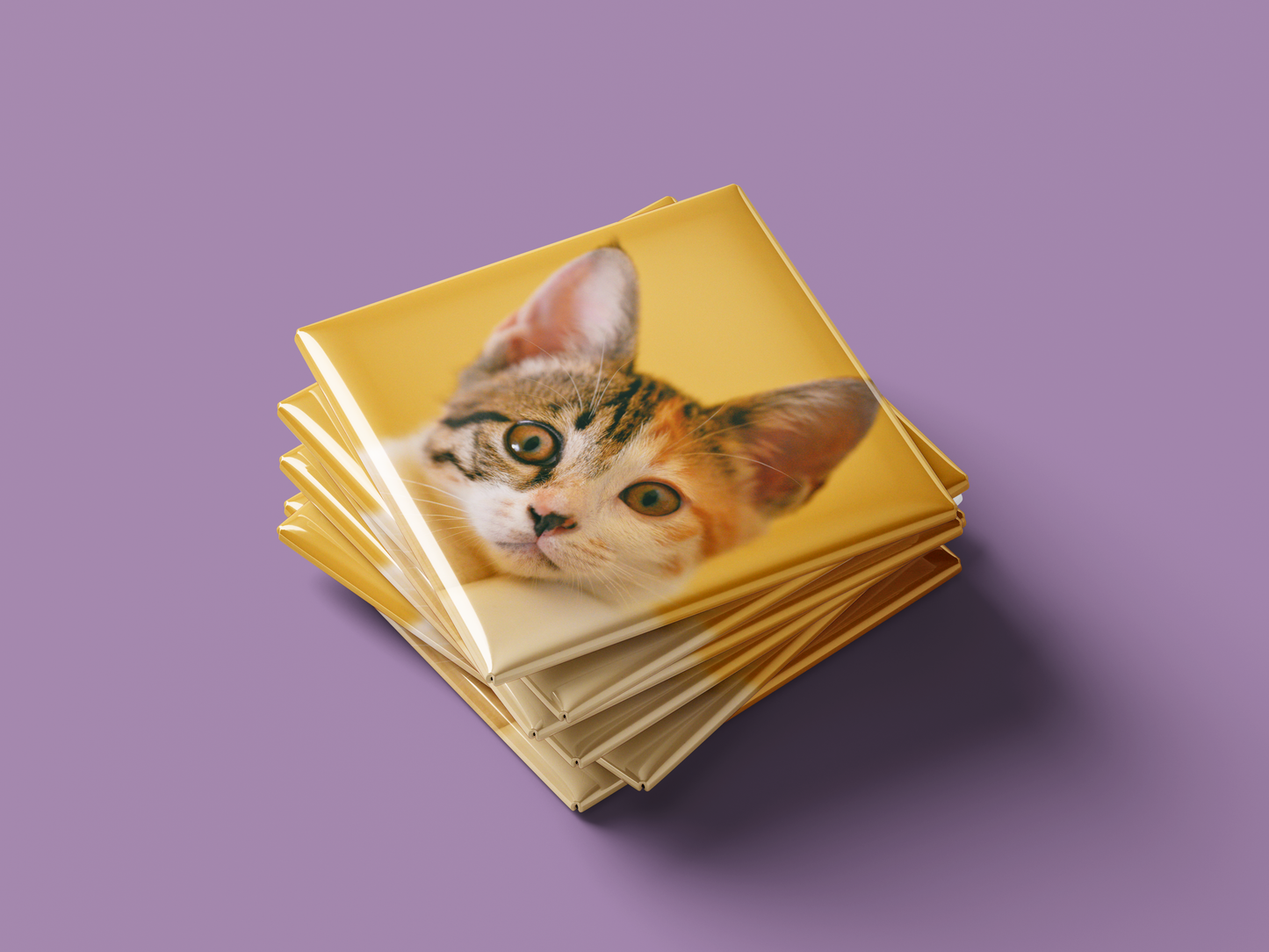 24x Photo Magnets