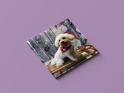 8x Photo Magnets