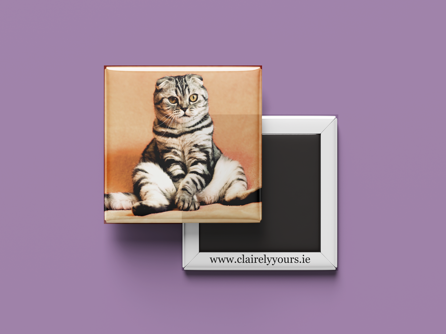 8x Photo Magnets